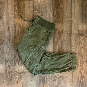 Aerie Sage cargo pants EUC